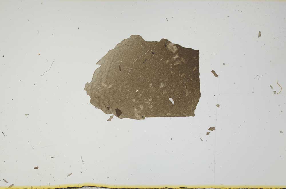 Plane Polarized, S1973