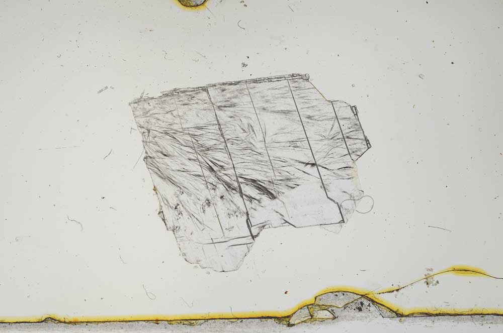 Plane Polarized, S1974