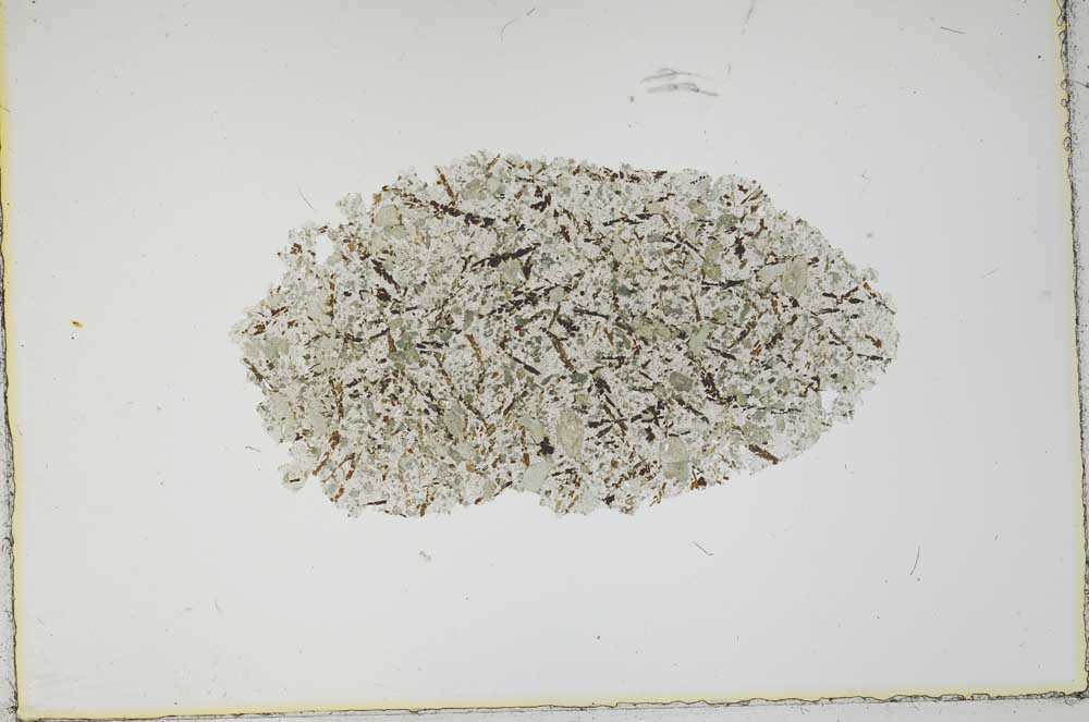 Plane Polarized, S1978