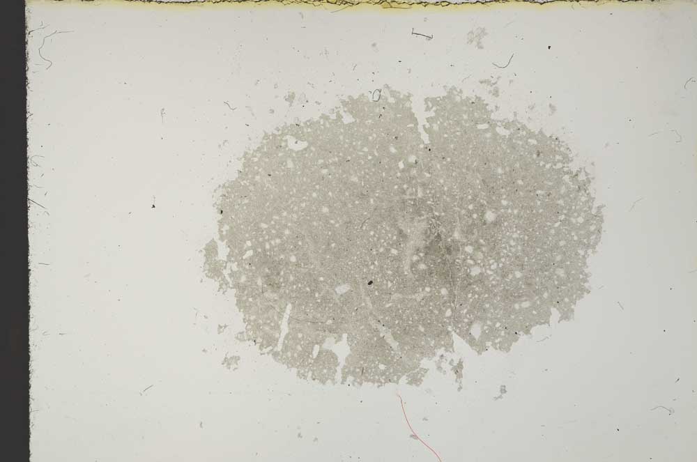 Plane Polarized, S11401