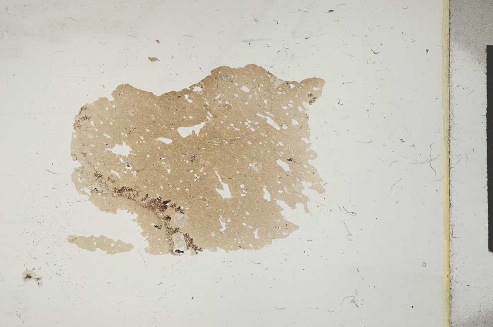 Plane Polarized, S11407