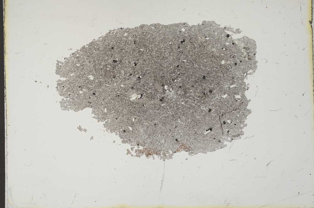 Plane Polarized, S11411