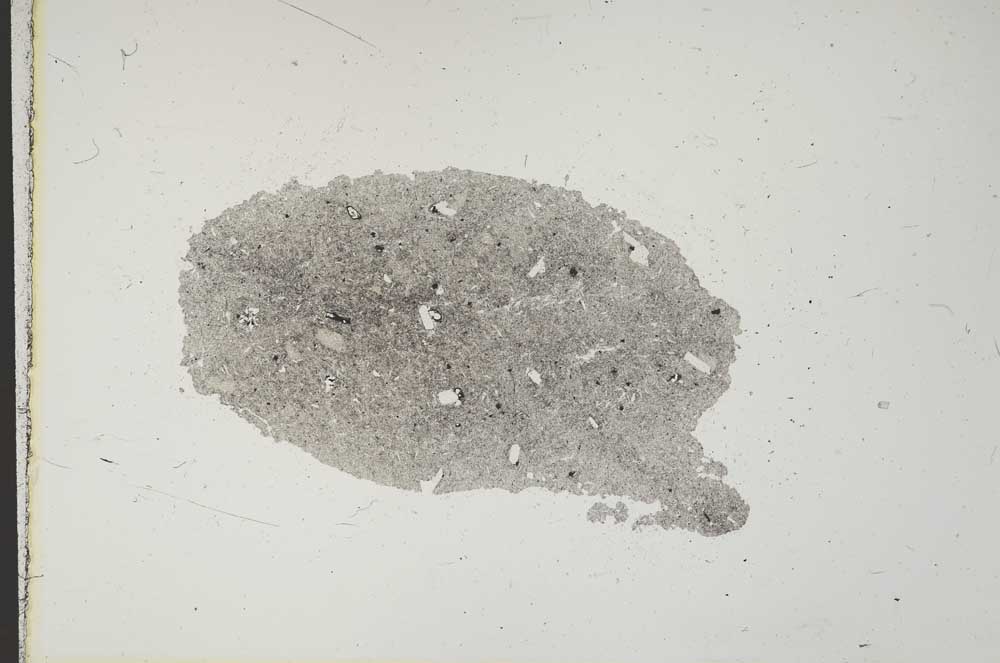 Plane Polarized, S11414