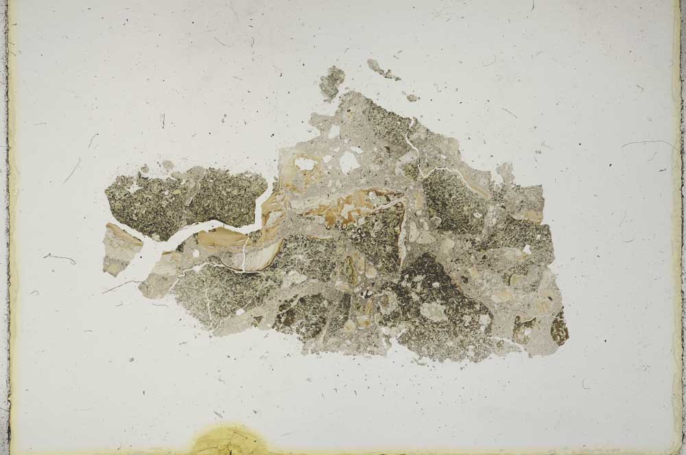 Plane Polarized, S11415