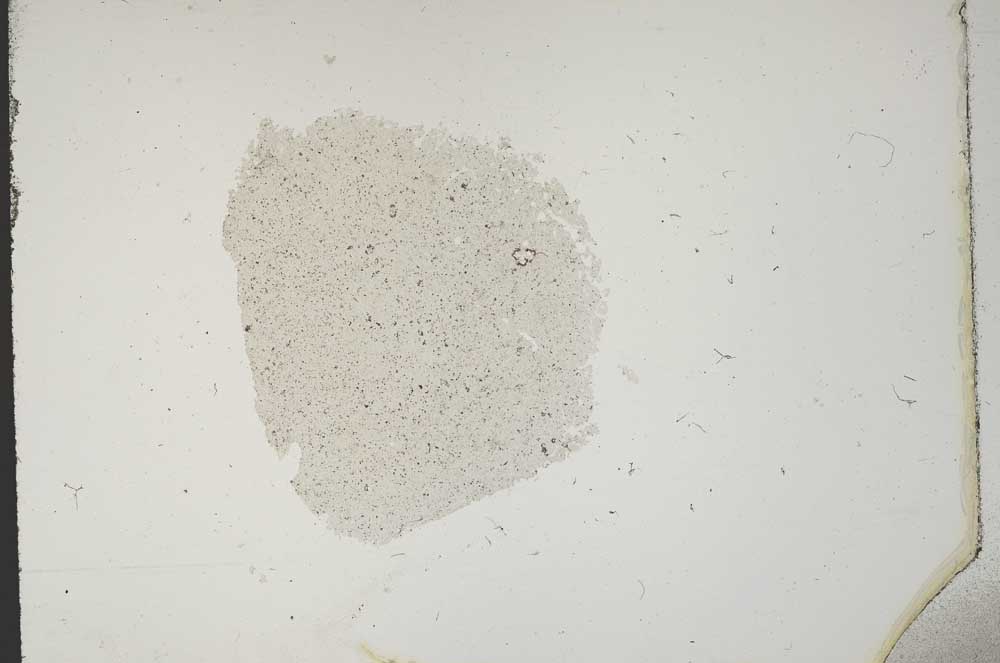 Plane Polarized, S11416