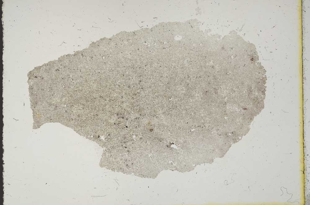 Plane Polarized, S11417