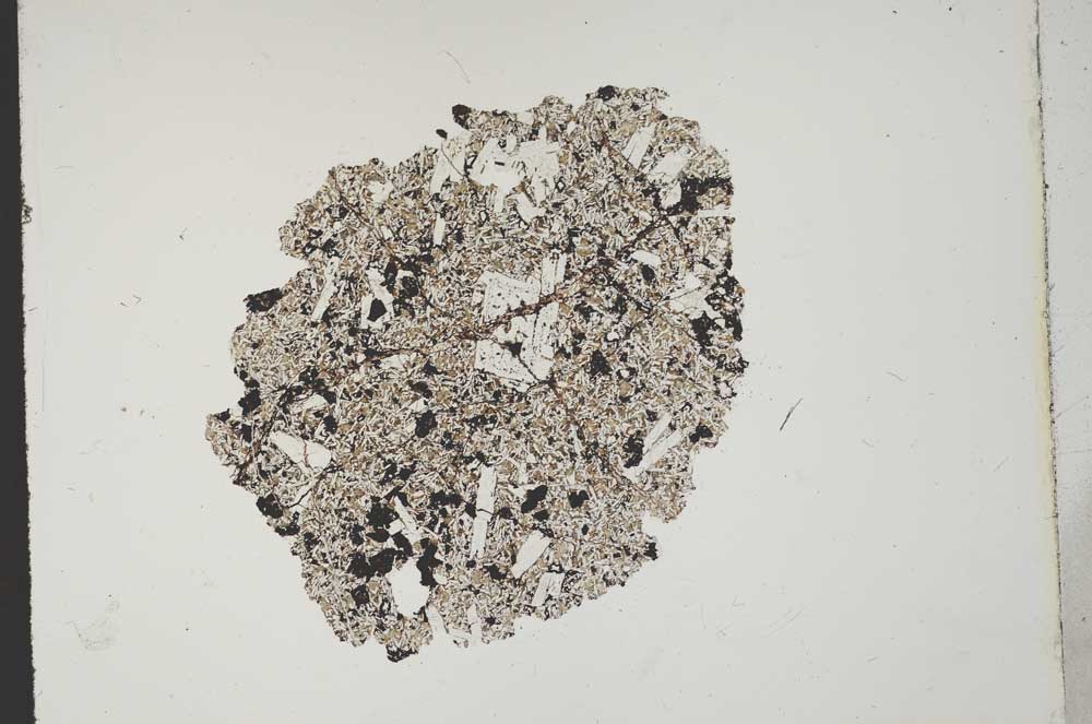 Plane Polarized, S11418