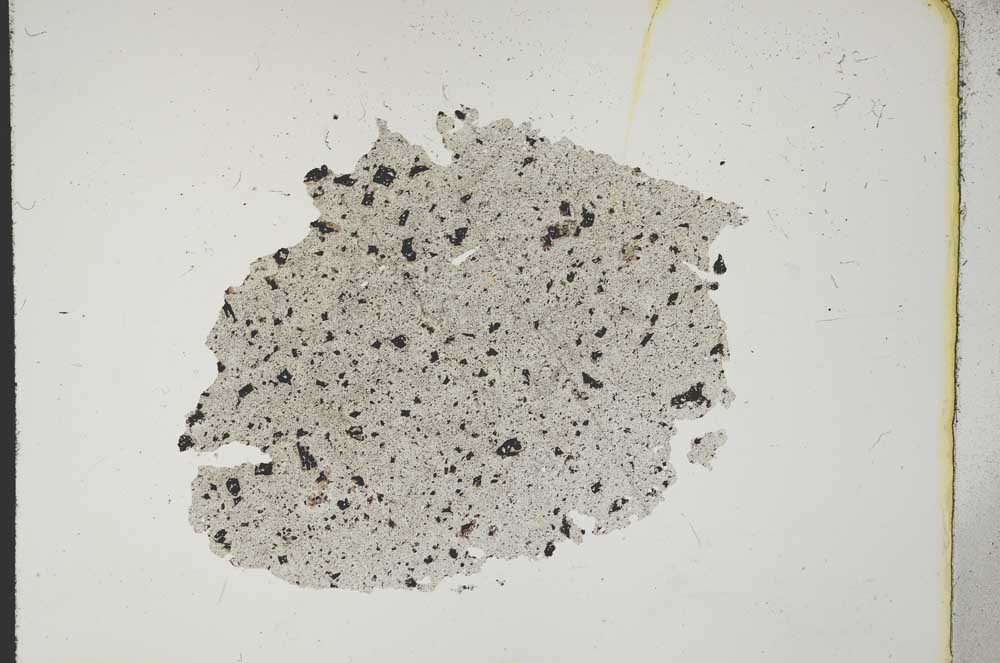 Plane Polarized, S11420