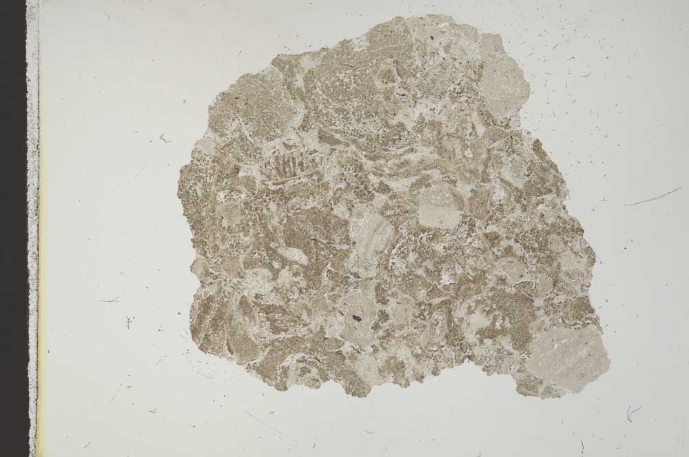 Plane Polarized, S11425
