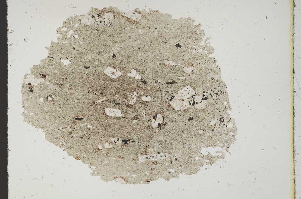 Plane Polarized, S11426