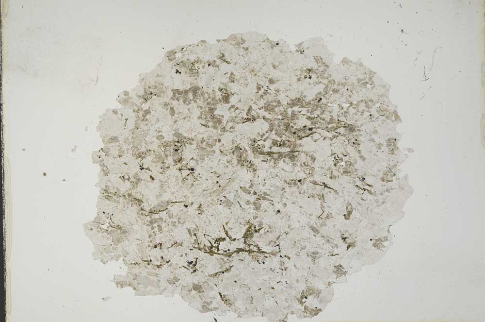 Plane Polarized, S11436