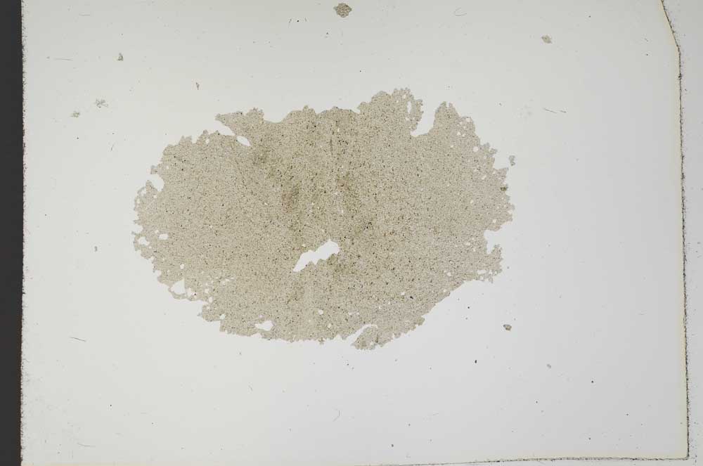 Plane Polarized, S11452