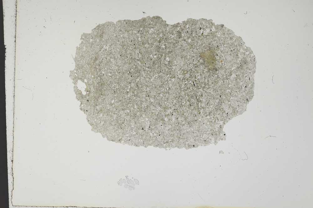 Plane Polarized, S11453
