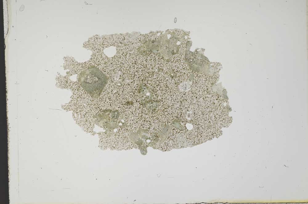 Plane Polarized, S11454