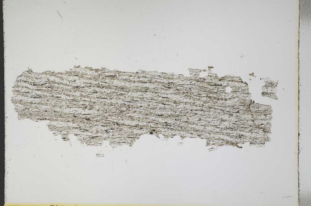 Plane Polarized, S11483
