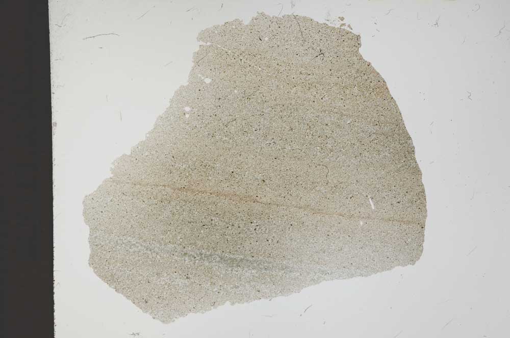 Plane Polarized, S11493