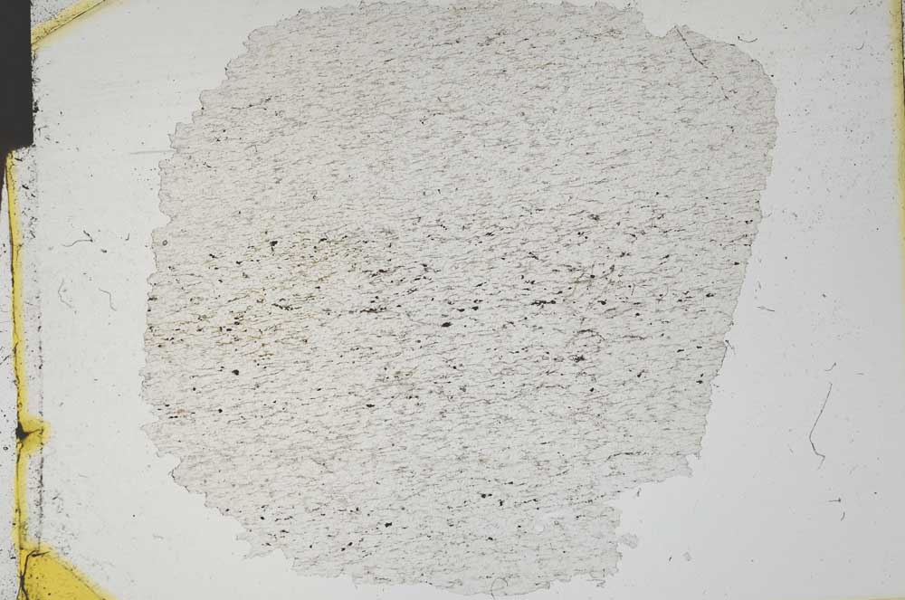 Plane Polarized, S11556