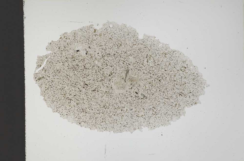 Plane Polarized, S11564