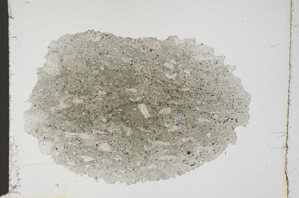 Plane Polarized, S11585