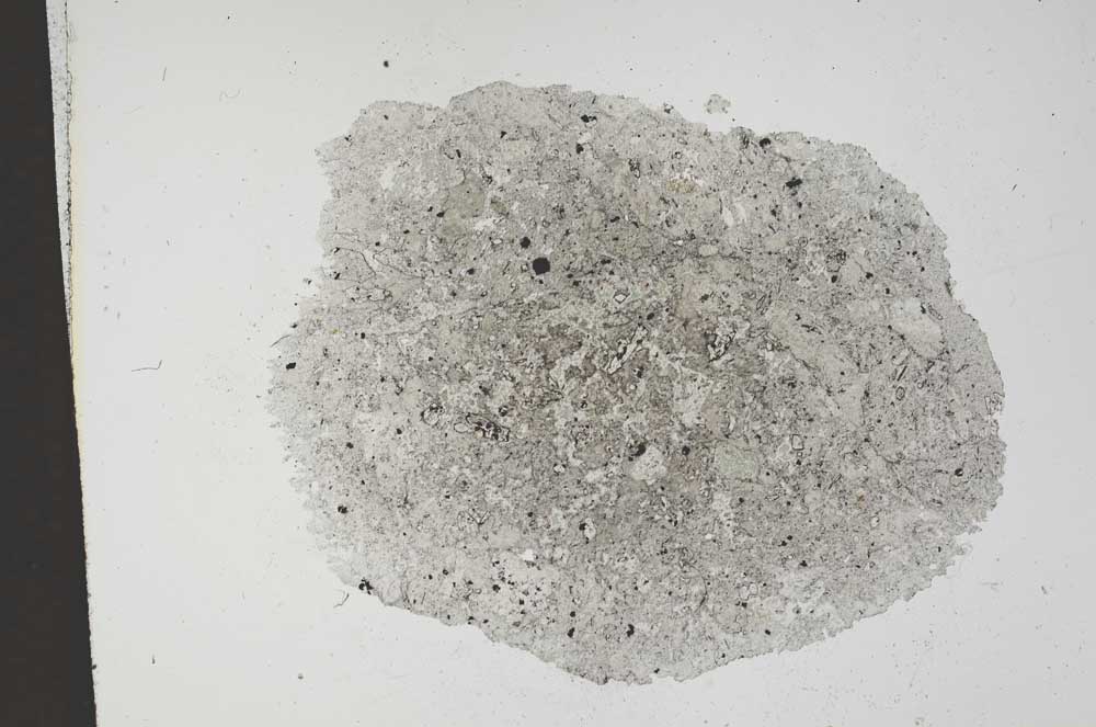 Plane Polarized, S11587