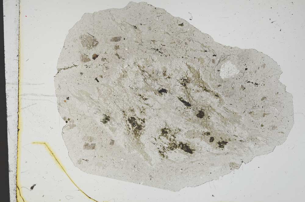 Plane Polarized, S11595