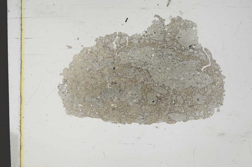 Plane Polarized, S11598