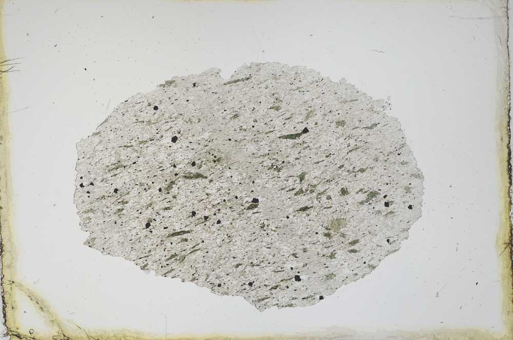 Plane Polarized, S11621