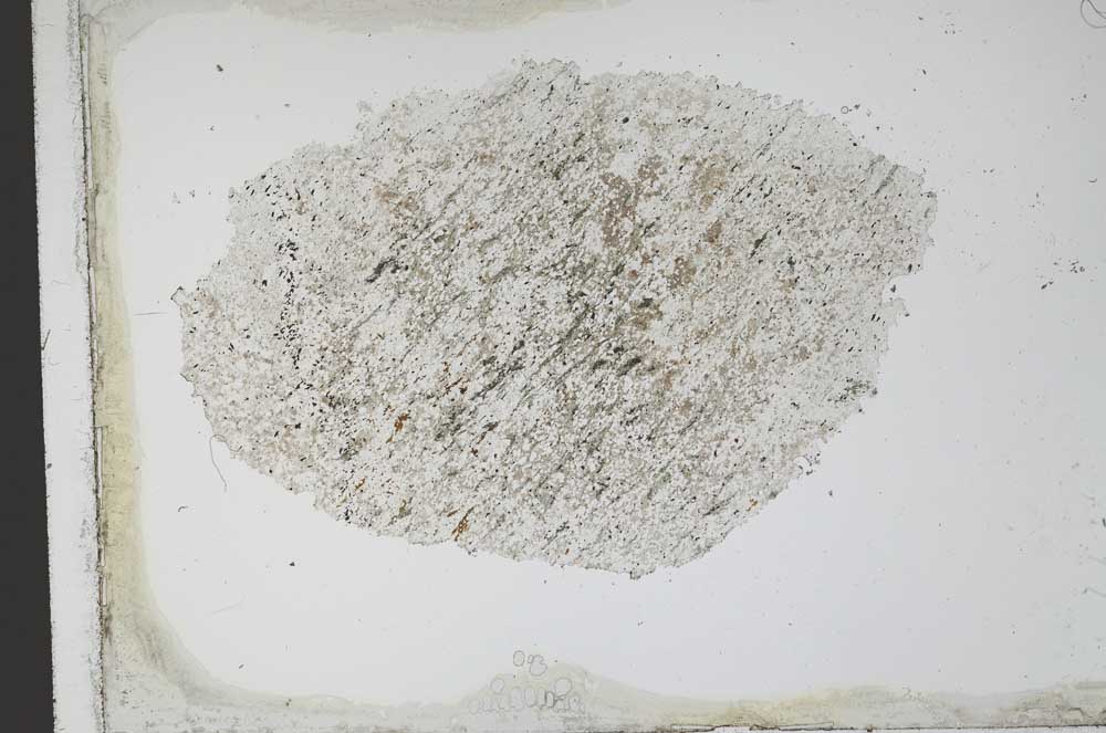 Plane Polarized, S11623