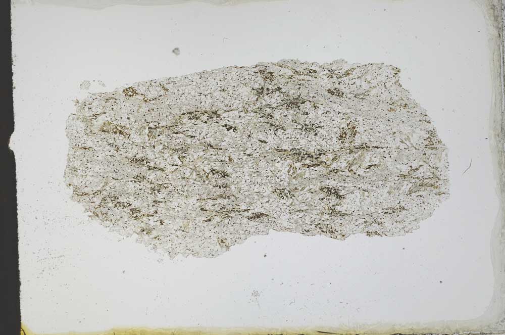 Plane Polarized, S11627