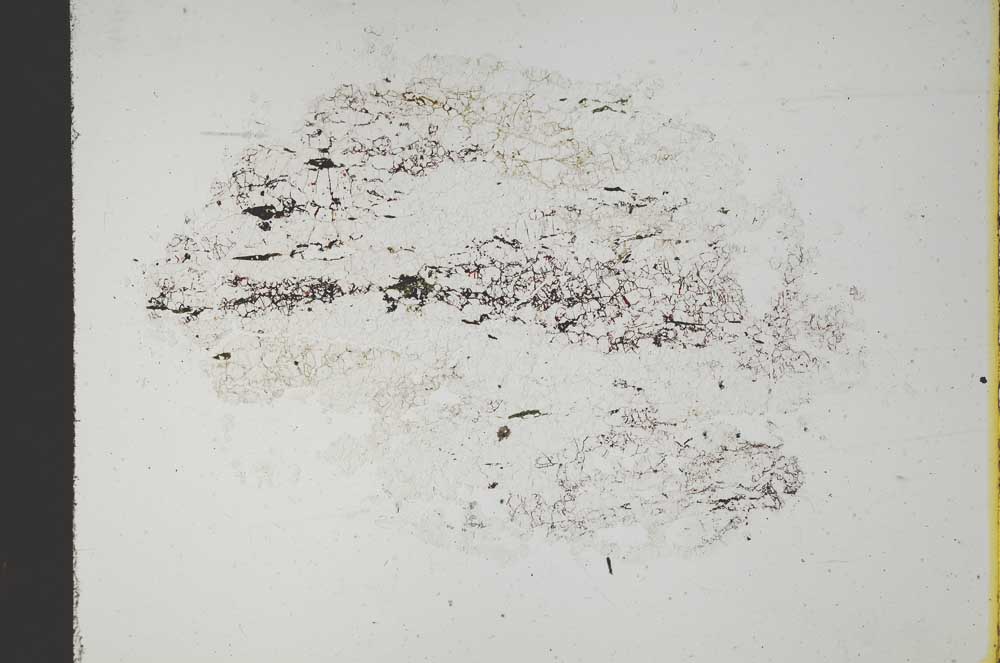 Plane Polarized, S11628/A