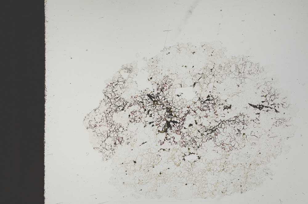 Plane Polarized, S11628/B