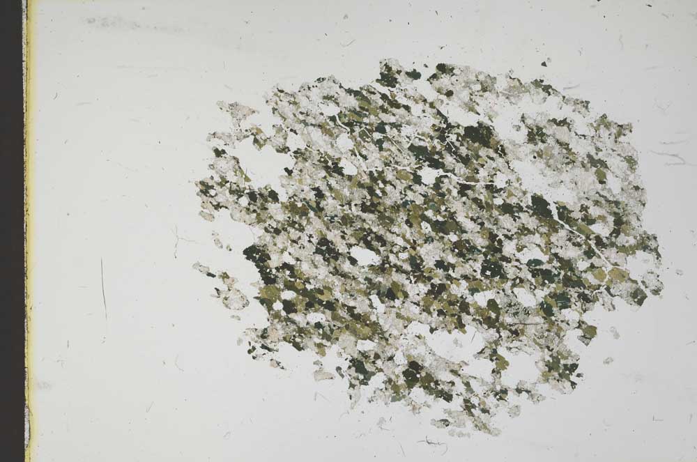 Plane Polarized, S11632