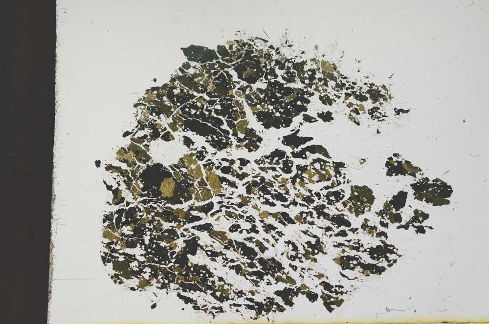 Plane Polarized, S11633