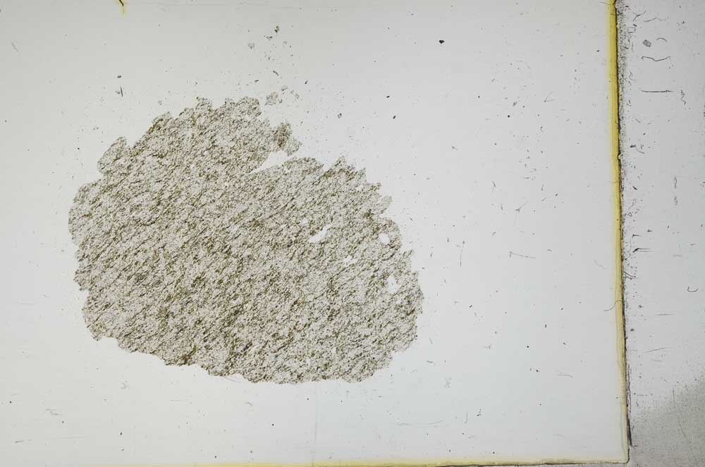 Plane Polarized, S11636