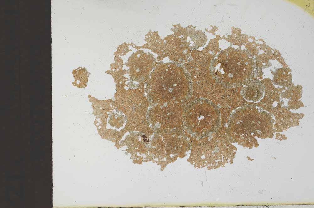 Plane Polarized, S11638