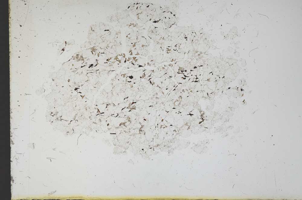 Plane Polarized, S11643