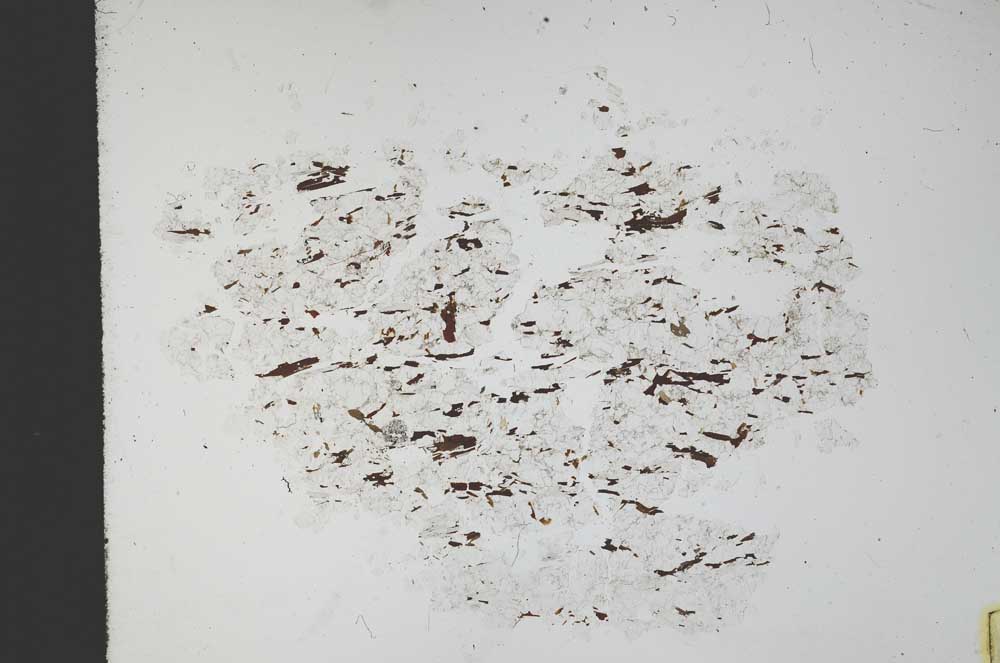 Plane Polarized, S11644