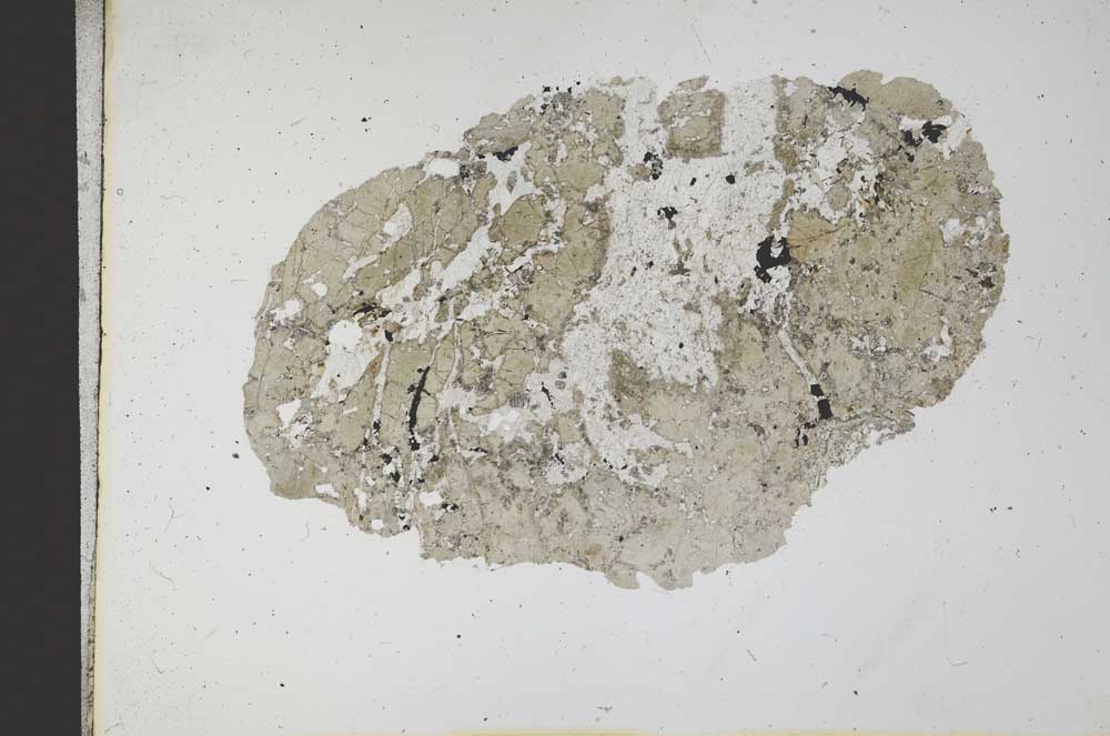 Plane Polarized, S11645
