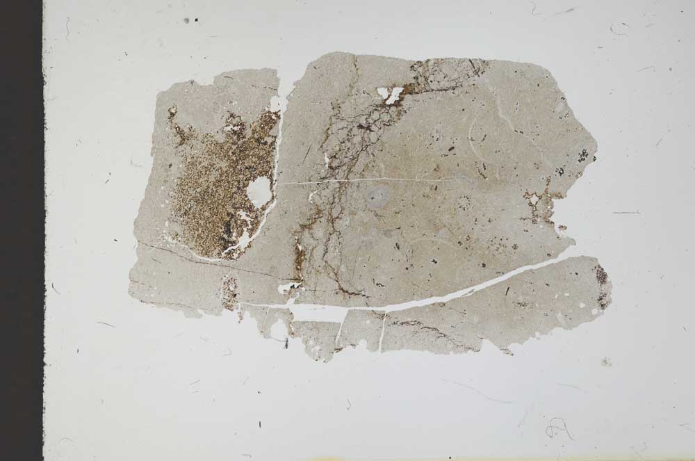Plane Polarized, S11647