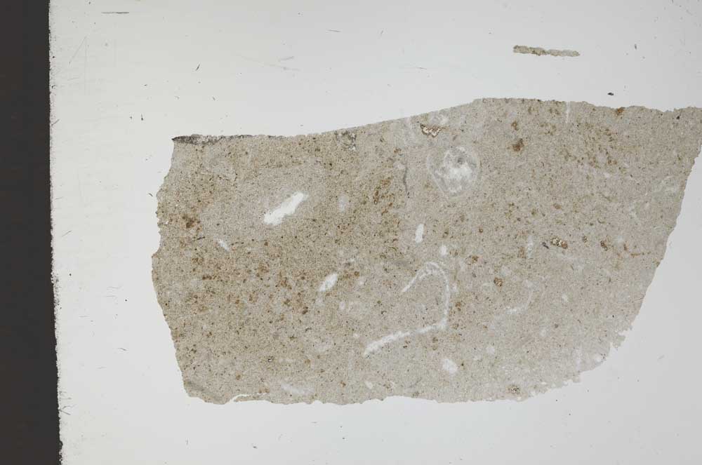 Plane Polarized, S11648
