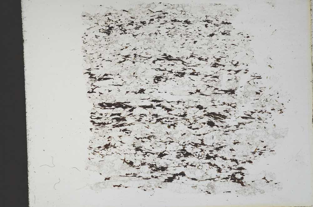 Plane Polarized, S11653