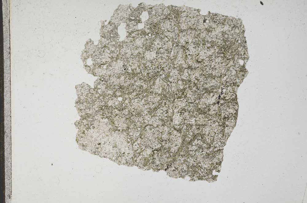 Plane Polarized, S11656