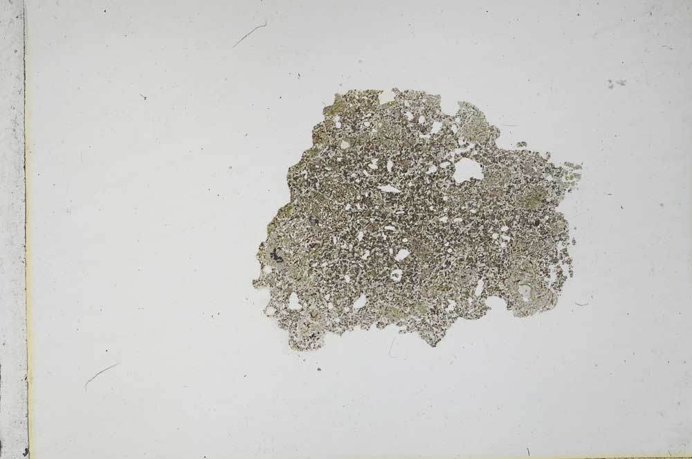 Plane Polarized, S11657