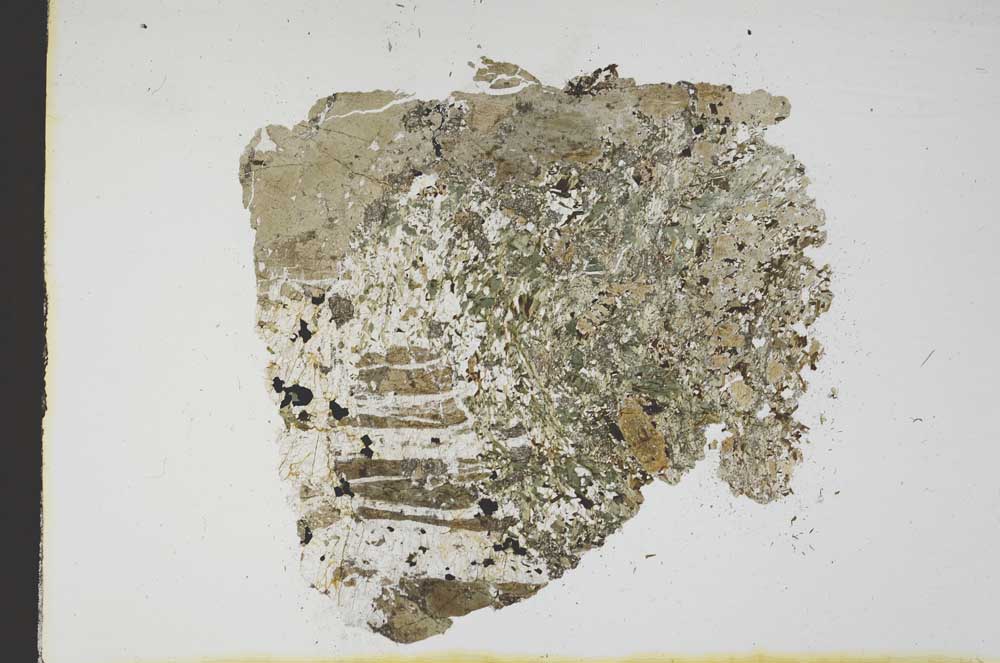 Plane Polarized, S11662