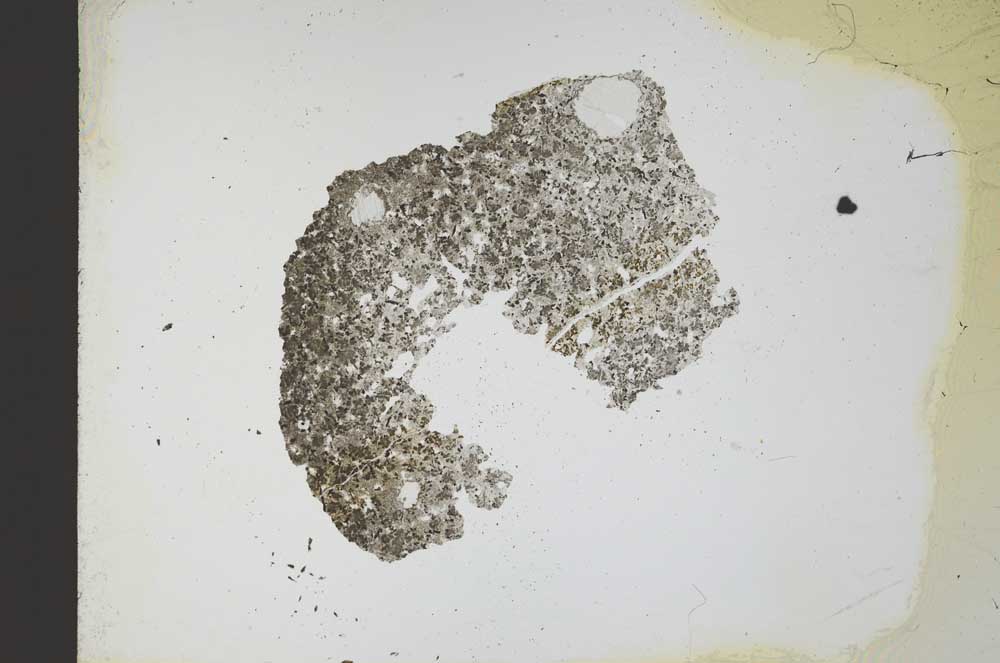 Plane Polarized, S11664