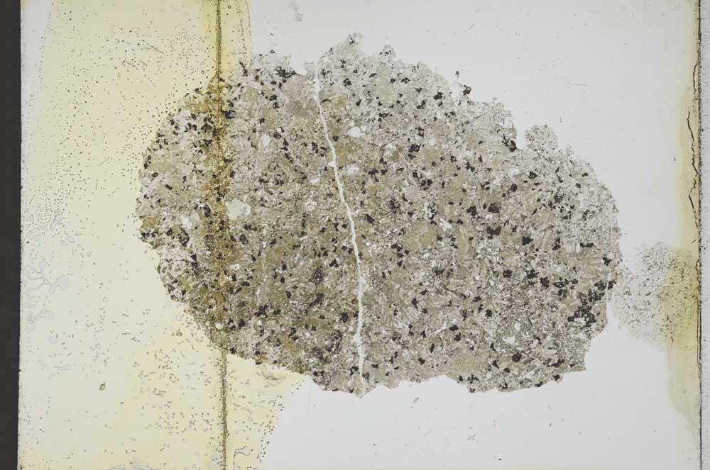 Plane Polarized, S11665