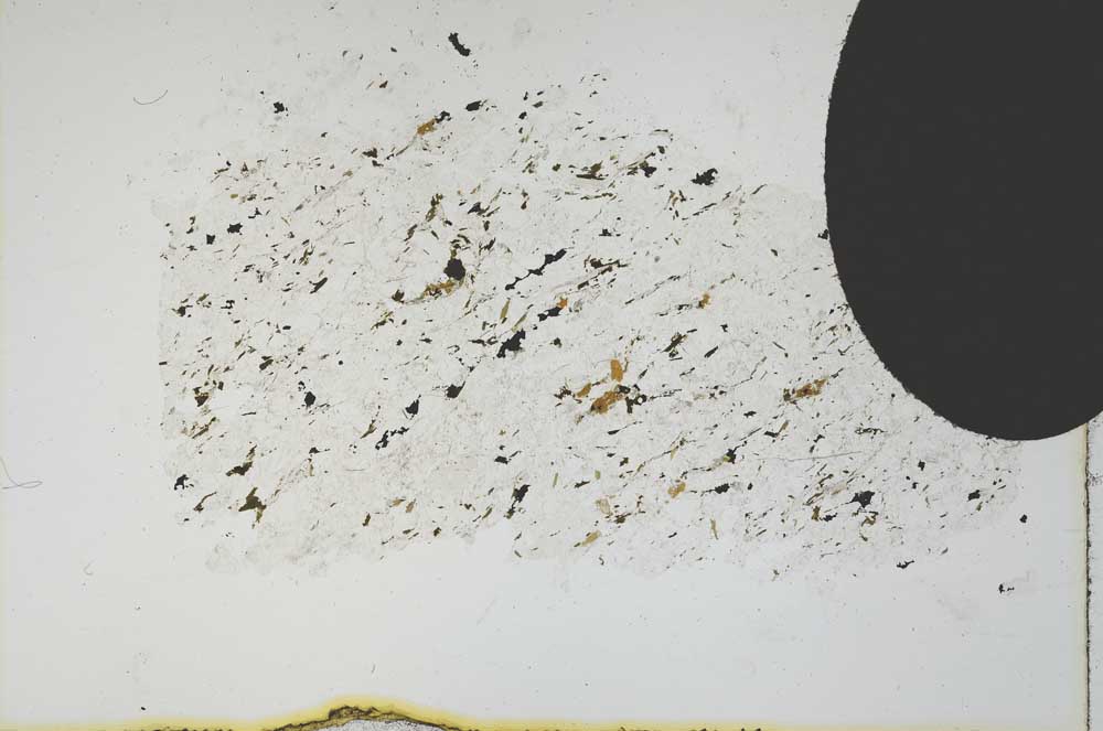 Plane Polarized, S11666