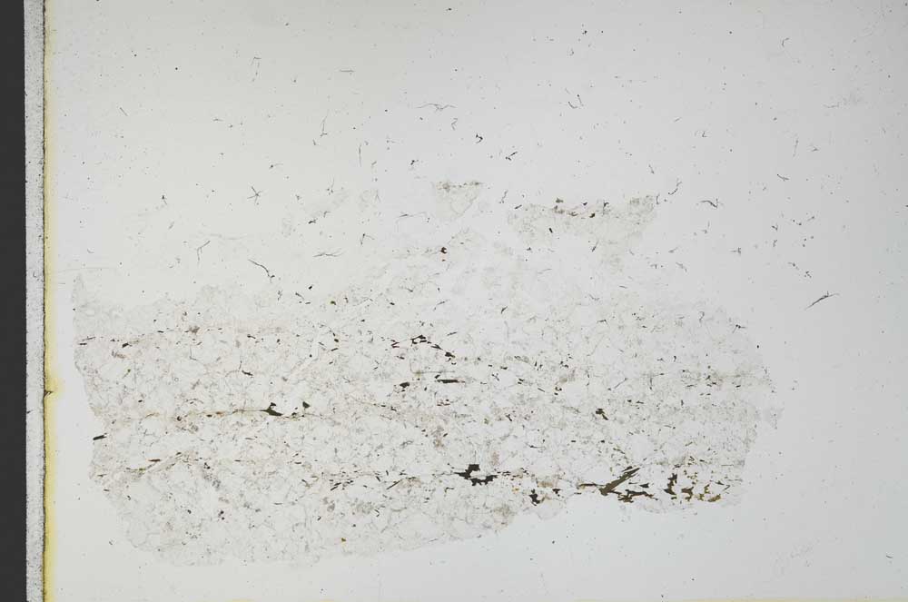 Plane Polarized, S11667