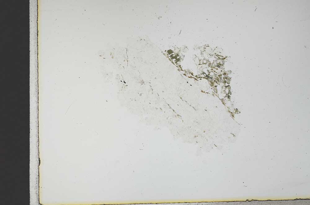 Plane Polarized, S11668