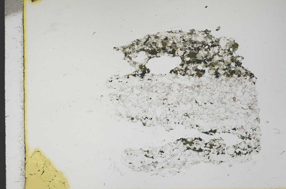 Plane Polarized, S11669